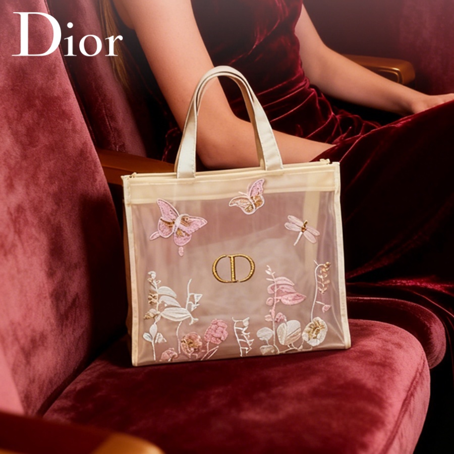 Women Accessories Organizer - Сумка Christian Dior, роскошная дизайнерская полупрозрачная